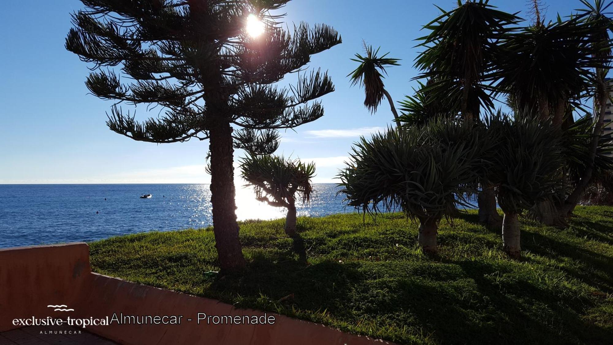Los Cipreses - Casa Ola Almuñécar Exteriér fotografie